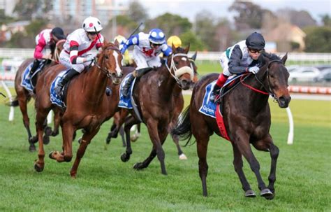 pb lawrence stakes|2023 PB Lawrence Stakes Results: Cox Plate Hope Mr .